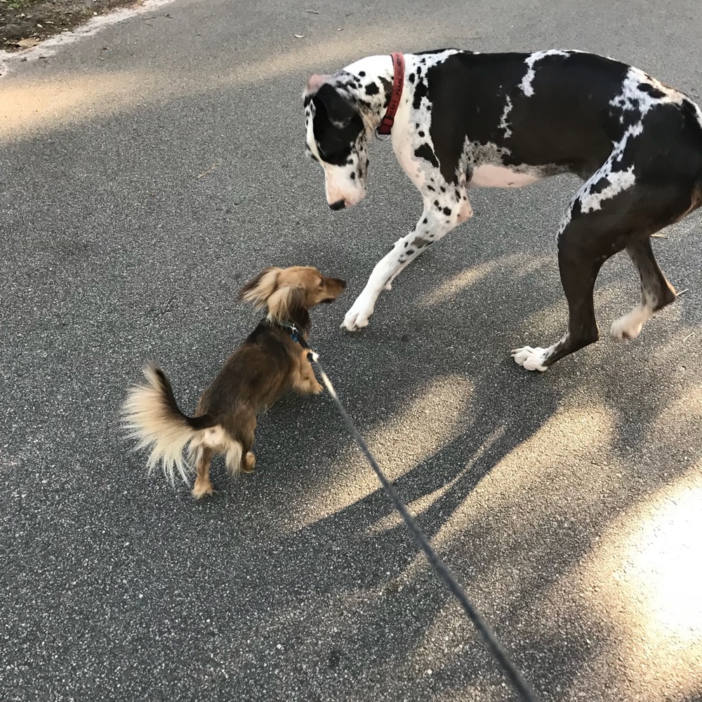 Meet your Posher, Ololivia